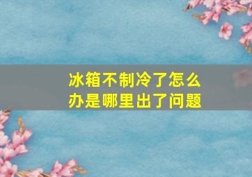 冰箱不制冷了怎么办是哪里出了问题