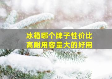 冰箱哪个牌子性价比高耐用容量大的好用