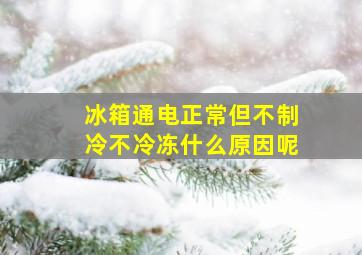 冰箱通电正常但不制冷不冷冻什么原因呢