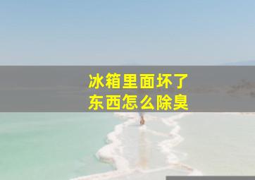 冰箱里面坏了东西怎么除臭