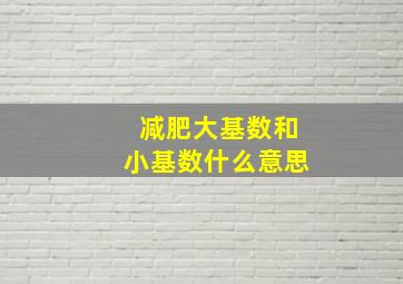 减肥大基数和小基数什么意思