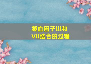 凝血因子lll和Vll结合的过程