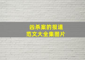 凶杀案的报道范文大全集图片