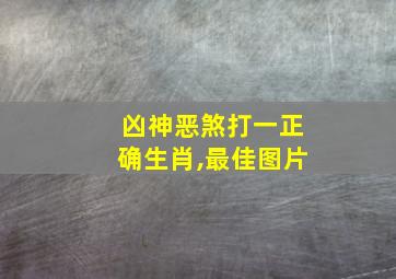 凶神恶煞打一正确生肖,最佳图片