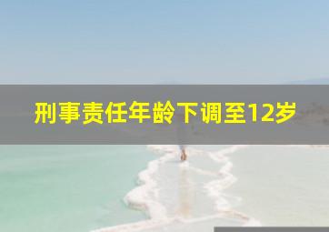 刑事责任年龄下调至12岁