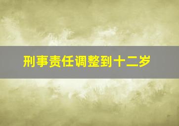 刑事责任调整到十二岁