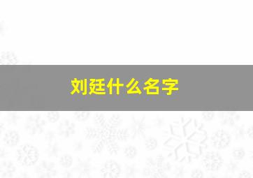 刘廷什么名字