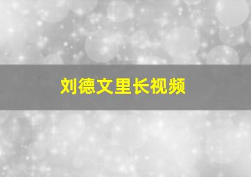 刘德文里长视频