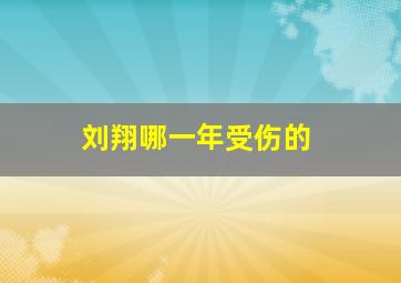 刘翔哪一年受伤的