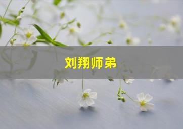 刘翔师弟