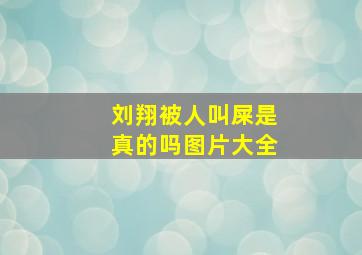 刘翔被人叫屎是真的吗图片大全