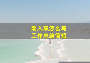 刚入职怎么写工作总结简短