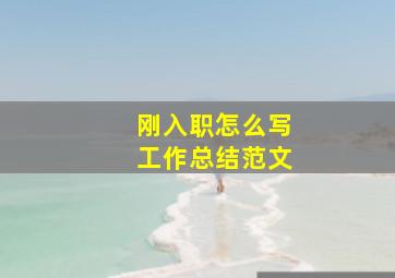 刚入职怎么写工作总结范文