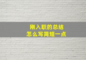 刚入职的总结怎么写简短一点