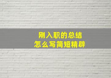 刚入职的总结怎么写简短精辟