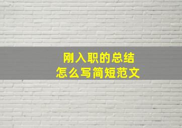 刚入职的总结怎么写简短范文