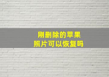 刚删除的苹果照片可以恢复吗