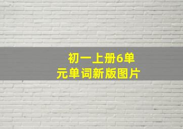 初一上册6单元单词新版图片