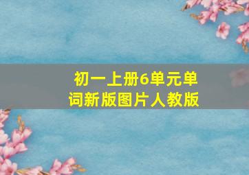 初一上册6单元单词新版图片人教版