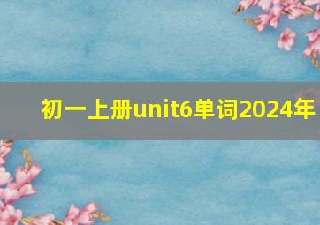 初一上册unit6单词2024年