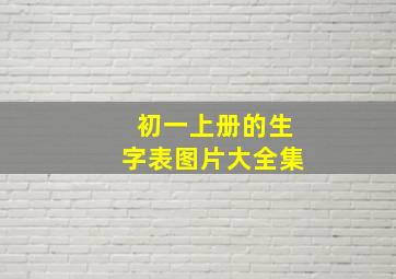 初一上册的生字表图片大全集