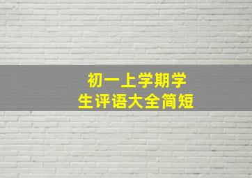 初一上学期学生评语大全简短