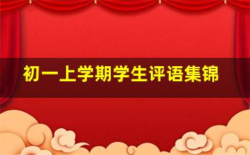 初一上学期学生评语集锦