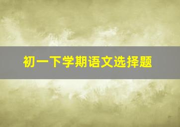 初一下学期语文选择题