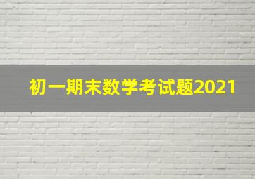 初一期末数学考试题2021