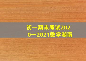 初一期末考试2020一2021数学湖南