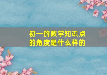 初一的数学知识点的角度是什么样的