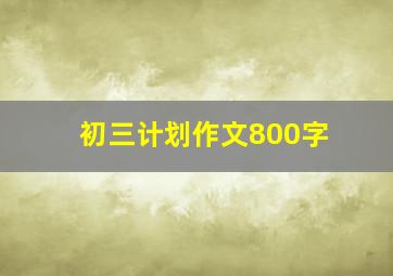 初三计划作文800字