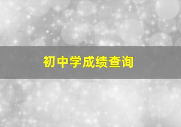 初中学成绩查询