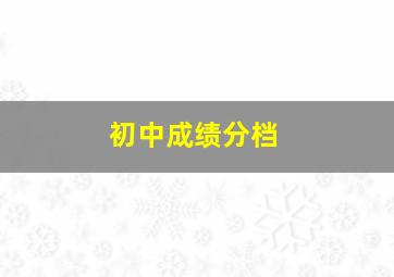 初中成绩分档