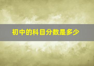 初中的科目分数是多少