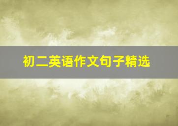 初二英语作文句子精选