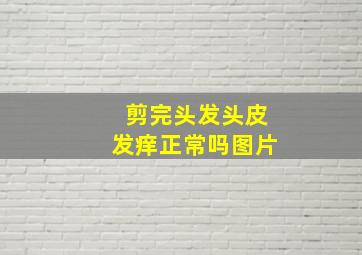 剪完头发头皮发痒正常吗图片