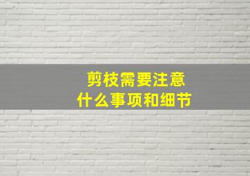 剪枝需要注意什么事项和细节