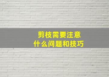 剪枝需要注意什么问题和技巧