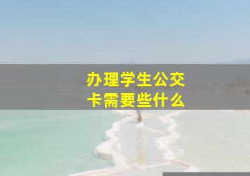 办理学生公交卡需要些什么