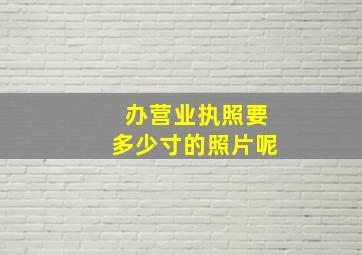 办营业执照要多少寸的照片呢