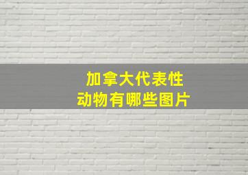 加拿大代表性动物有哪些图片