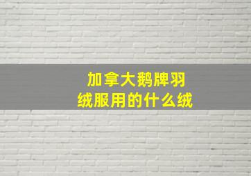 加拿大鹅牌羽绒服用的什么绒