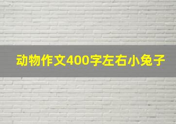 动物作文400字左右小兔子