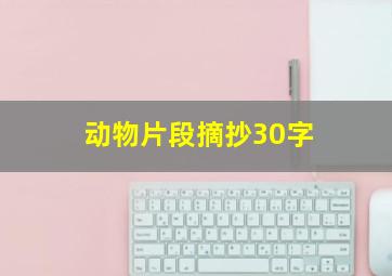 动物片段摘抄30字