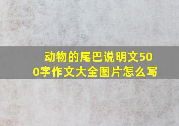 动物的尾巴说明文500字作文大全图片怎么写