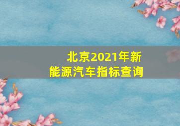 北京2021年新能源汽车指标查询