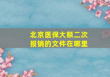 北京医保大额二次报销的文件在哪里