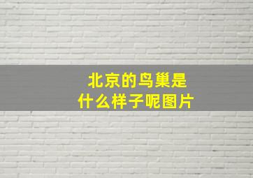 北京的鸟巢是什么样子呢图片