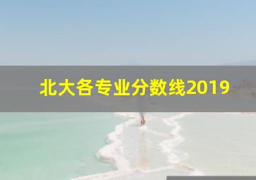 北大各专业分数线2019